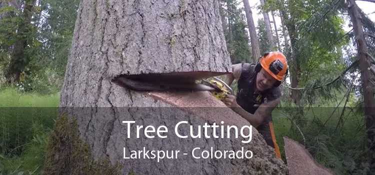 Tree Cutting Larkspur - Colorado