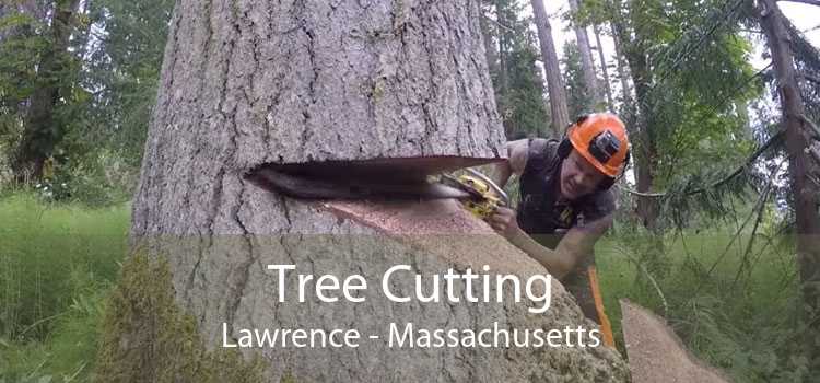 Tree Cutting Lawrence - Massachusetts