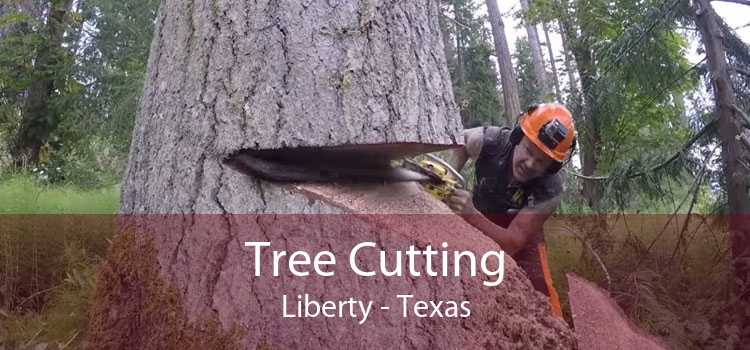 Tree Cutting Liberty - Texas