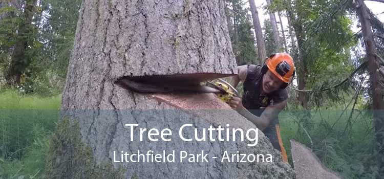 Tree Cutting Litchfield Park - Arizona