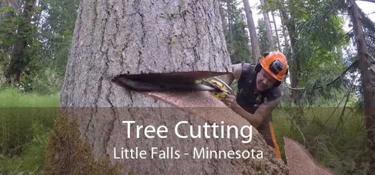 Tree Cutting Little Falls - Minnesota