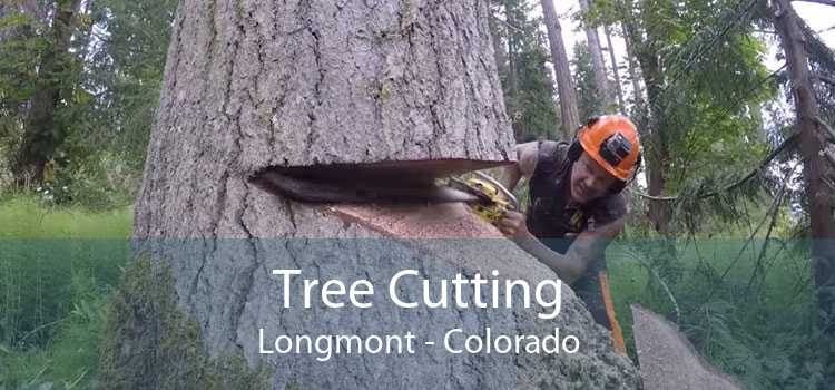 Tree Cutting Longmont - Colorado