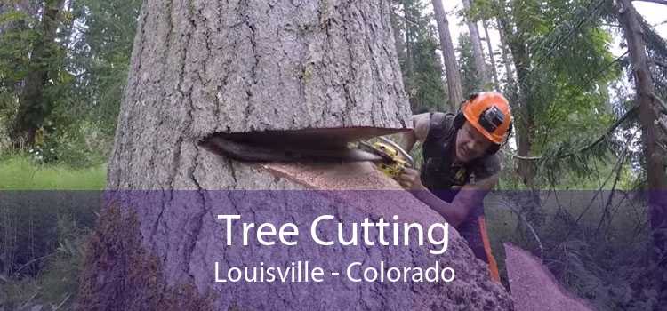 Tree Cutting Louisville - Colorado