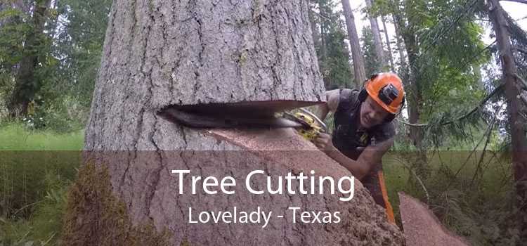 Tree Cutting Lovelady - Texas