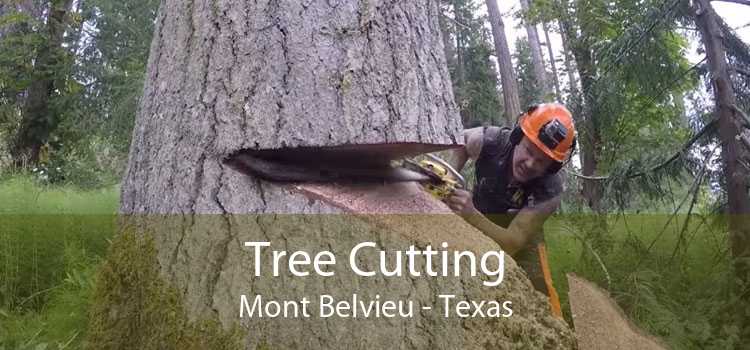 Tree Cutting Mont Belvieu - Texas