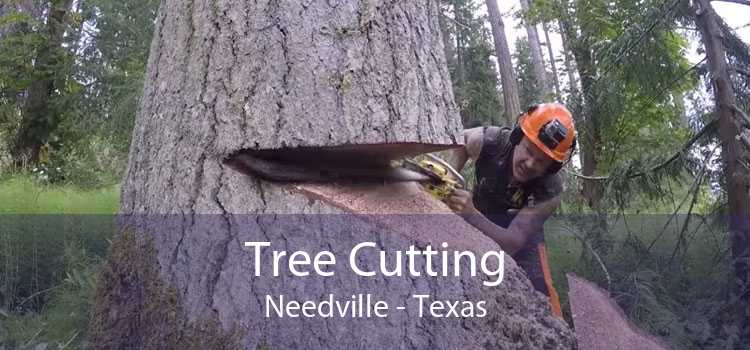 Tree Cutting Needville - Texas