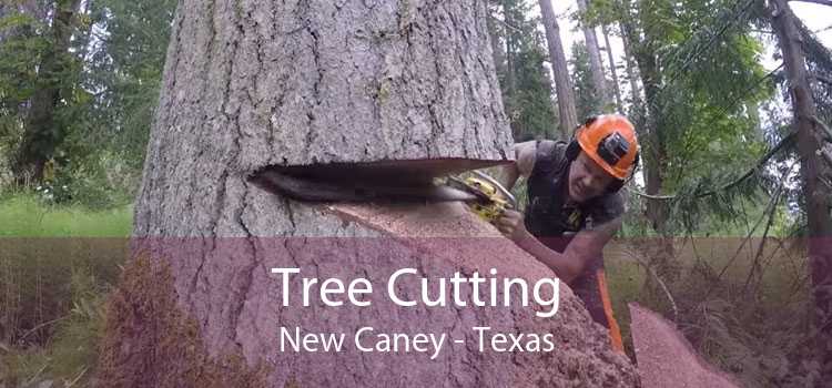 Tree Cutting New Caney - Texas