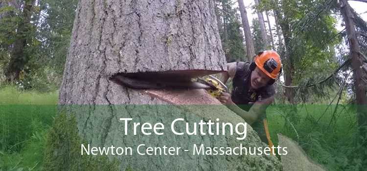 Tree Cutting Newton Center - Massachusetts