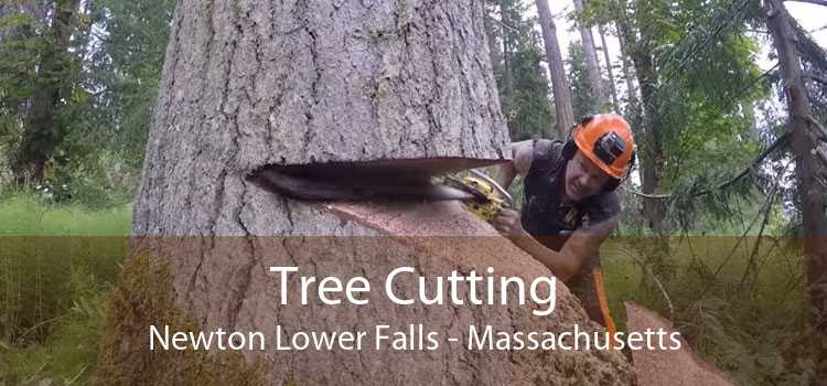Tree Cutting Newton Lower Falls - Massachusetts