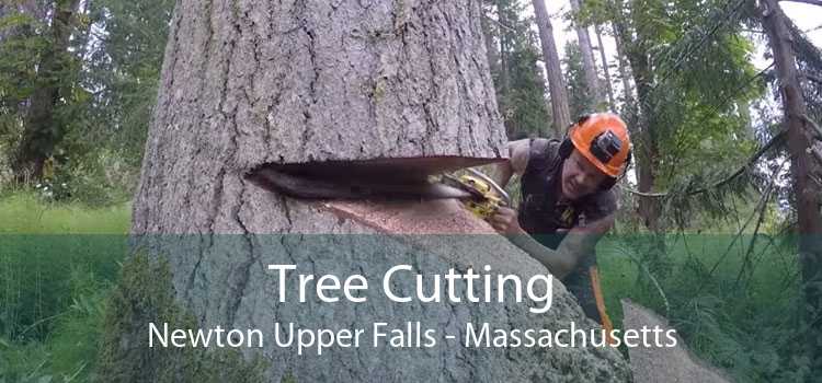 Tree Cutting Newton Upper Falls - Massachusetts