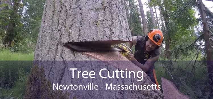 Tree Cutting Newtonville - Massachusetts