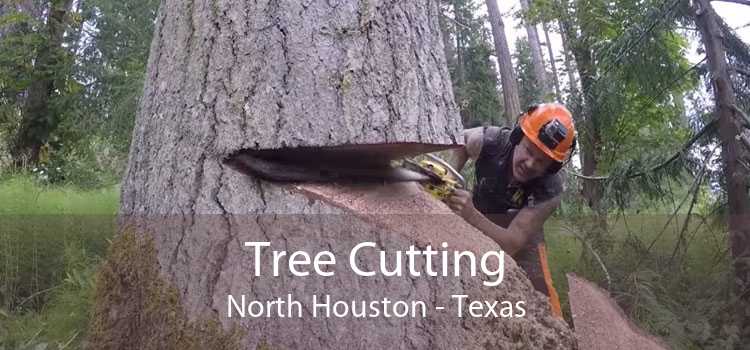 Tree Cutting North Houston - Texas