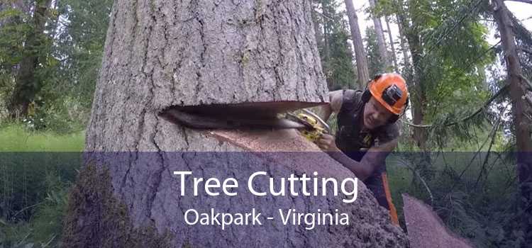 Tree Cutting Oakpark - Virginia