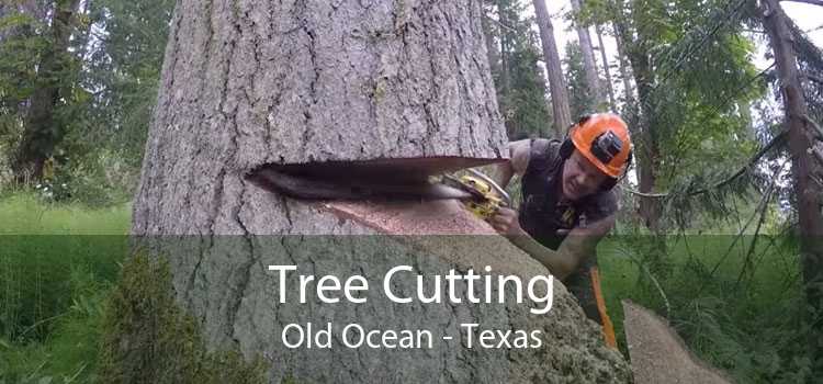 Tree Cutting Old Ocean - Texas