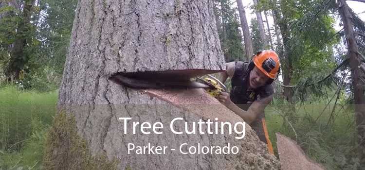 Tree Cutting Parker - Colorado