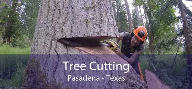 Tree Cutting Pasadena - Texas