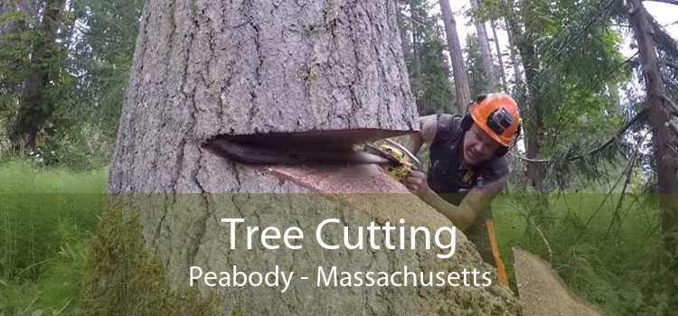 Tree Cutting Peabody - Massachusetts