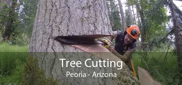 Tree Cutting Peoria - Arizona