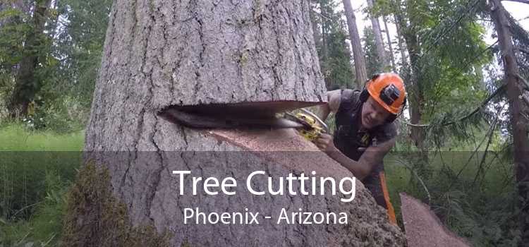 Tree Cutting Phoenix - Arizona