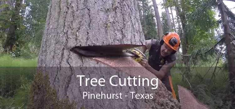 Tree Cutting Pinehurst - Texas