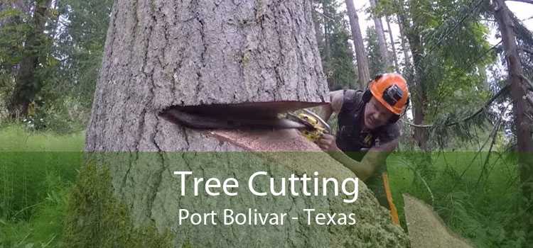 Tree Cutting Port Bolivar - Texas