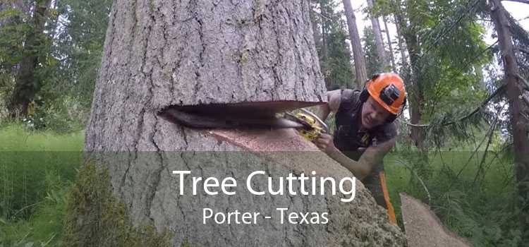 Tree Cutting Porter - Texas