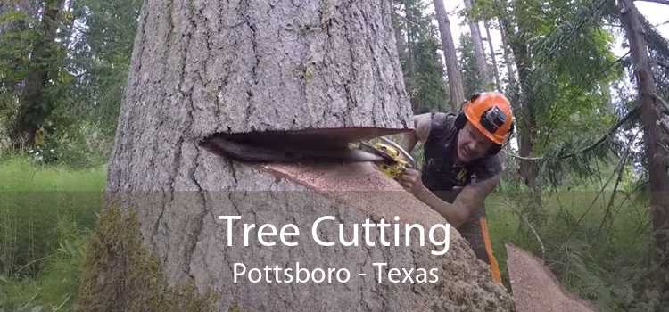 Tree Cutting Pottsboro - Texas