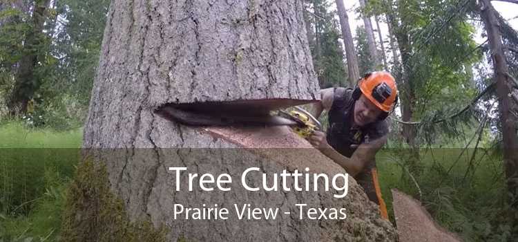 Tree Cutting Prairie View - Texas