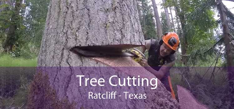Tree Cutting Ratcliff - Texas