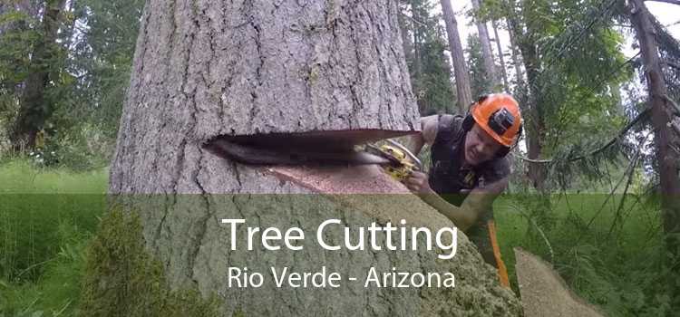 Tree Cutting Rio Verde - Arizona