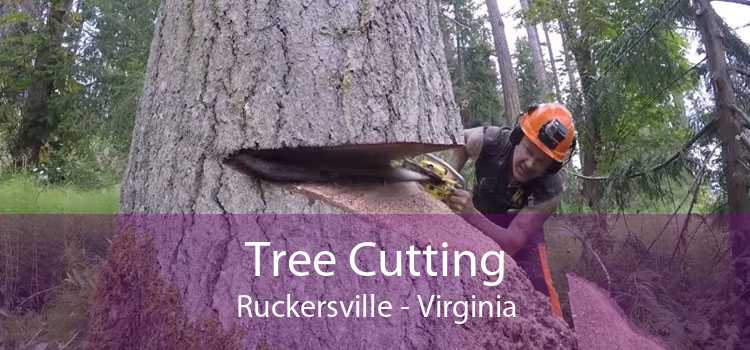 Tree Cutting Ruckersville - Virginia