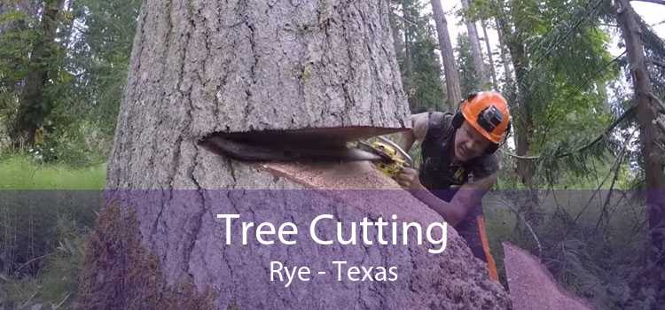 Tree Cutting Rye - Texas