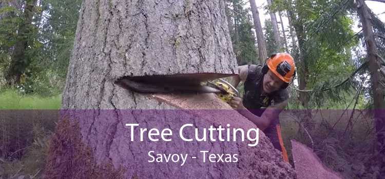 Tree Cutting Savoy - Texas