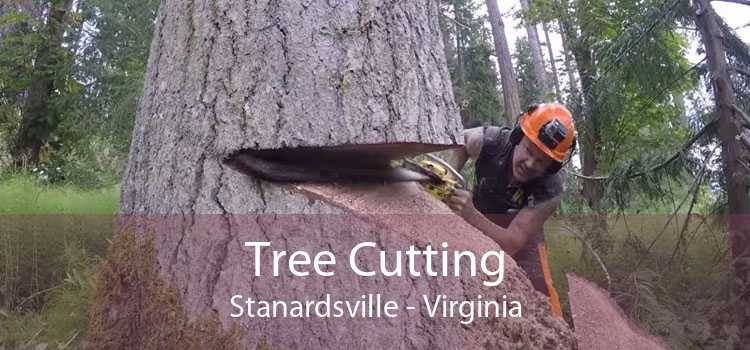 Tree Cutting Stanardsville - Virginia