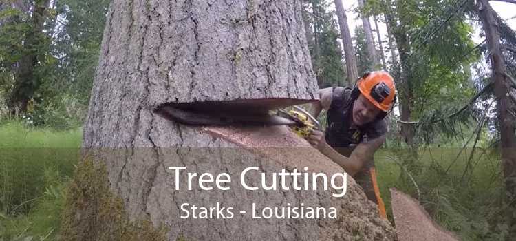 Tree Cutting Starks - Louisiana