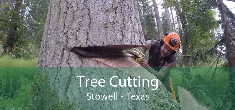 Tree Cutting Stowell - Texas