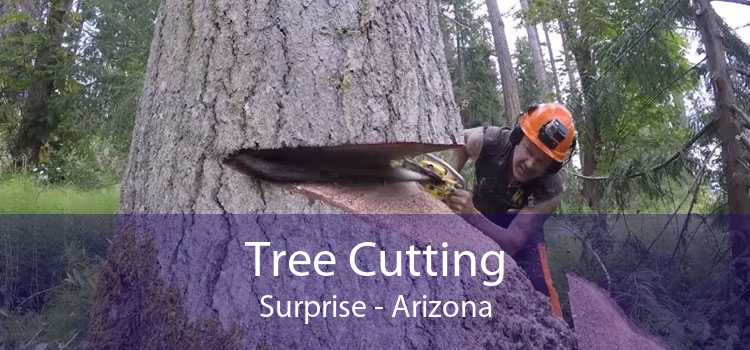 Tree Cutting Surprise - Arizona