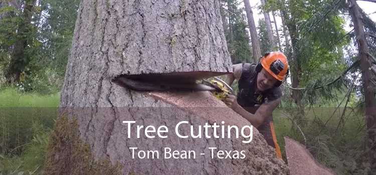 Tree Cutting Tom Bean - Texas