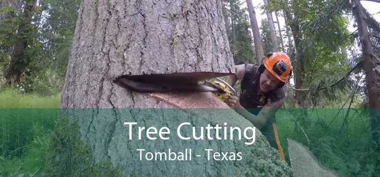 Tree Cutting Tomball - Texas