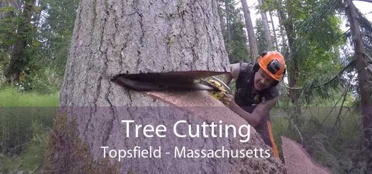 Tree Cutting Topsfield - Massachusetts