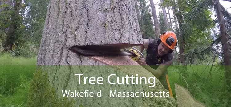 Tree Cutting Wakefield - Massachusetts