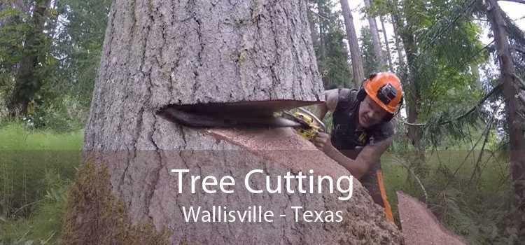 Tree Cutting Wallisville - Texas