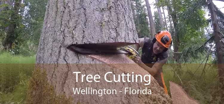 Tree Cutting Wellington - Florida