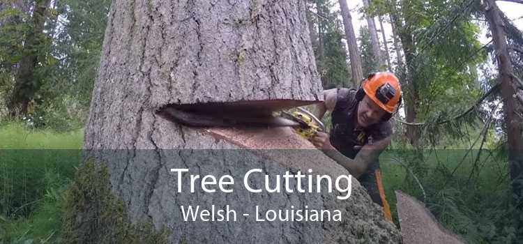 Tree Cutting Welsh - Louisiana