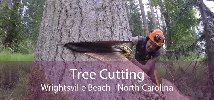 Tree Cutting Wrightsville Beach - North Carolina