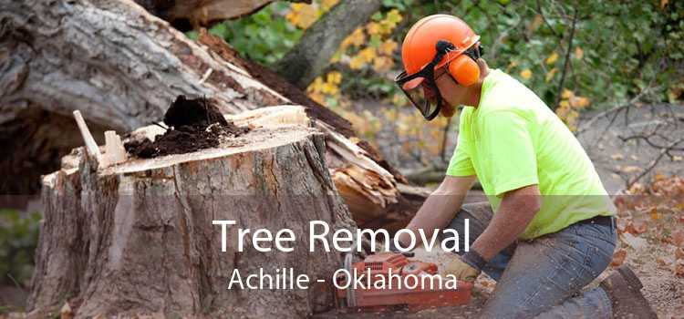Tree Removal Achille - Oklahoma