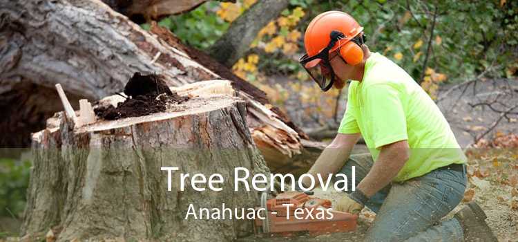 Tree Removal Anahuac - Texas