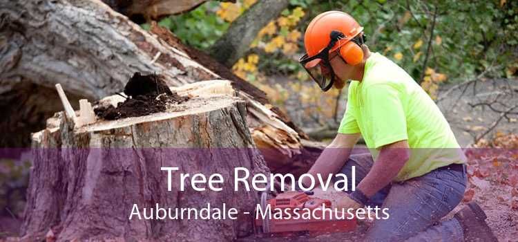 Tree Removal Auburndale - Massachusetts