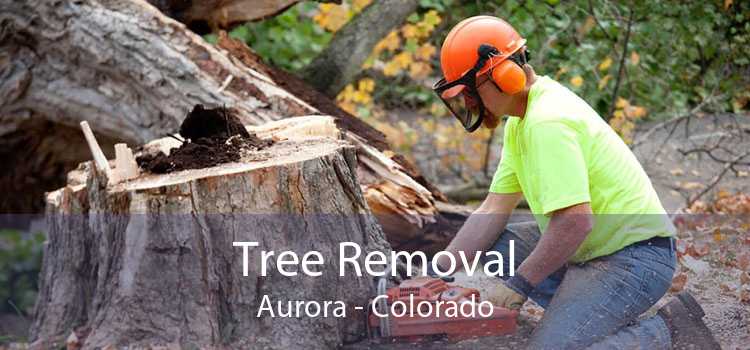 Tree Removal Aurora - Colorado