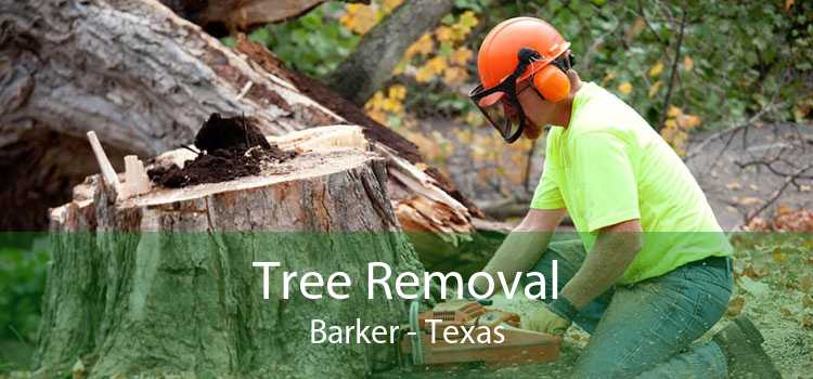 Tree Removal Barker - Texas